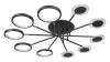 Потолочный светильник Loft IT Megan 10164M Black