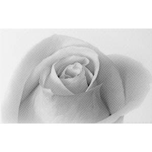 Декор Шахтинская плитка Камелия 10301001884 Черн 01 25x40