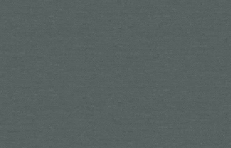 Обои флизелиновые Loymina Equator QTR8 005/1