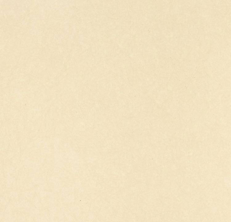 Обои флизелиновые Bernardo Bartalucci Legend 5068-53