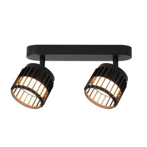 Светильник потолочный Arte Lamp Atria A8031PL-2BK