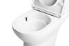 Унитаз-компакт BelBagno Lounge-Tor-2 BB2802CP/T-TOR/SC безободковый, с сиденьем микролифт фото 4