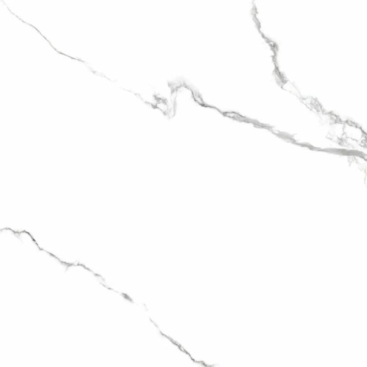 Керамогранит Primavera PR150 Acothly Polished 60x60