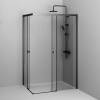 Душевой уголок Am.Pm X-Joy W94G-403-120290-BT1K профиль черный матовый, стекло прозрачное, 120x90x190 фото 6