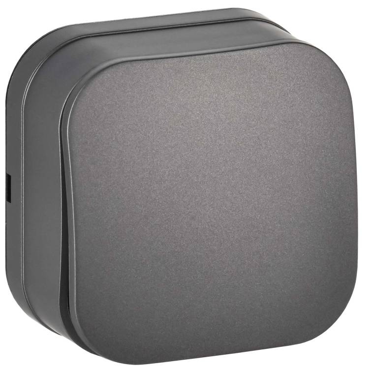 Выключатель 1-клавишный IEK Glory EVH10-K46M-10 сталь матовый