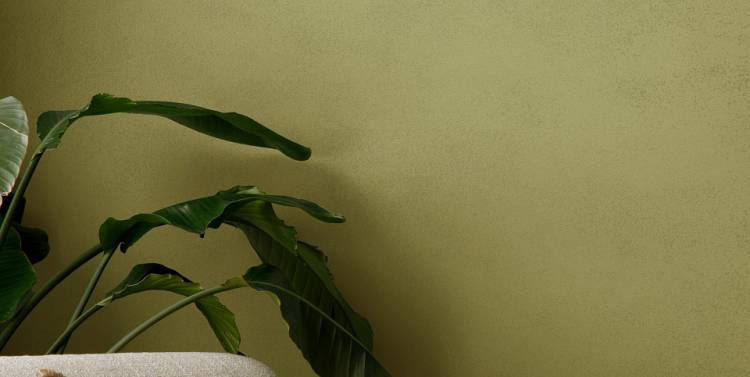 Decaro Suede