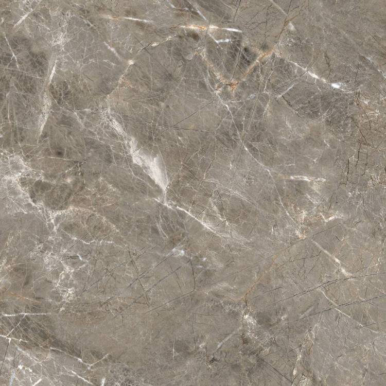 Керамогранит Royce R_PR1023 Olympia Grey Polished 60x60