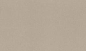 Обои виниловые Rasch Vitrage 975567