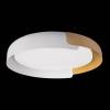Потолочный светодиодный светильник Loft IT Coin 10198 White фото 5