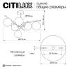 Люстра на штанге Citilux Ronny CL242163 фото 15