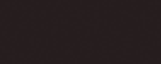Керамическая плитка Vives Satinados Negro Mate 20x50