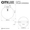 Настенно потолочный светильник Citilux Orton CL202512 фото 8