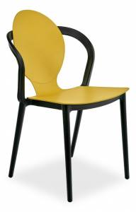 Набор из 2 стульев Bradex Home Spoon FR 0195P горчичный