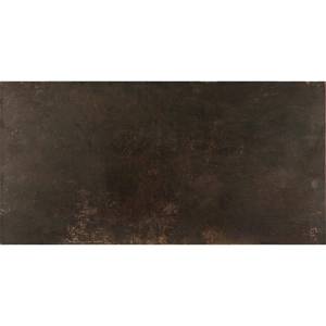 Керамогранит Ceracasa Evolution Bronce Lapatto Rect 49.1x98.2 Керамогранит Ceracasa Evolution Bronce Lapatto Rect 49.1x98.2