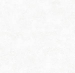 Обои Victoria Stenova Da Vinci 286751