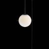 Подвесной светильник Loft IT Signal 10029PS Black фото 4