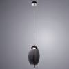 Подвесной светодиодный светильник Arte Lamp Cody A7769SP-1BC фото 2