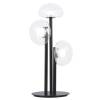 Настольная лампа Crystal Lux BOSQUE LG3 BLACK/TRANSPARENT фото 2