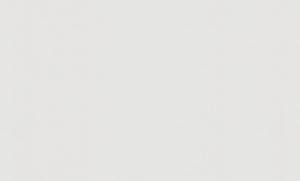 Обои флизелиновые HomeColor Monochrome HC71822-14