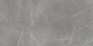 Керамогранит Atlas Concorde Russia Forte Dei Marmi 610010003173 Elegant Grey Rett 60x120