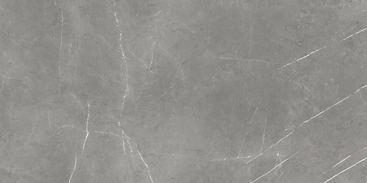 Керамогранит Atlas Concorde Russia Forte Dei Marmi 610010003173 Elegant Grey Rett 60x120