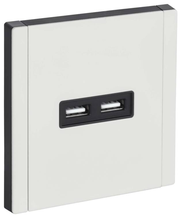 Розетка USB type A+A IEK Forte&Piano FP-U21-D31-M-K01 белый