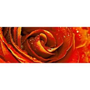 Декор Cerrol Royal Syntia Rosa Tulip 20x50