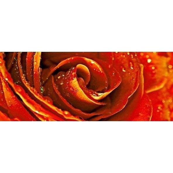 Декор Cerrol Royal Syntia Rosa Tulip 20x50