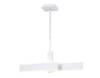 Подвесной светодиодный светильник Ambrella light Acrylica FA6666