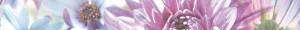 Бордюр Europa Ceramica Fantasy Cen Primavera 5x50
