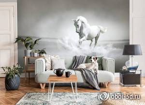 Design Studio 3D Животные