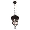 Подвесной светильник Loft IT Warehouse Loft1141 фото 4