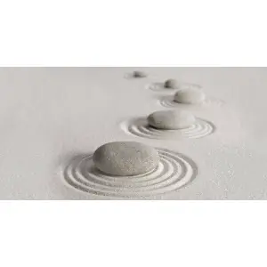 Декор Alma Ceramica Relax DWU09RLX004 24.9x50