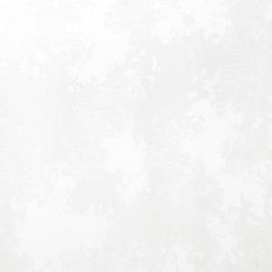 Обои Erismann Andrea 60676-02