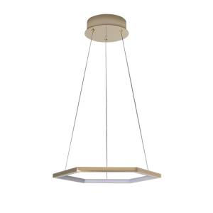Подвесной светильник Loft IT Ring 10016S