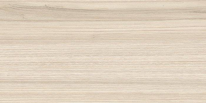 Керамическая плитка New Trend Essense WT9ESS11 24.9x50