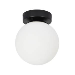 Светильник потолочный Arte Lamp Alcor A2224PL-1BK