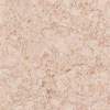Линолеум Tarkett IQ Megalit (АйКью Мегалит) 3390504 (рулон: 2x23=46 м2)