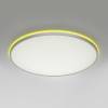 Светильник с пультом Citilux Norma CL749600 LED RGB фото 6