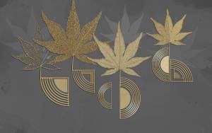 3D Фотообои Artegrafico «Кленовые листья с тиснением» SG-002 канвас