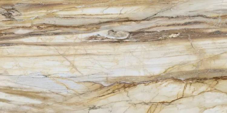 Керамогранит Roca Fossil FBS00MQ041 LM ST R E 100X200