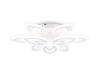 Потолочный светильник Ambrella light Acrylica FA4547