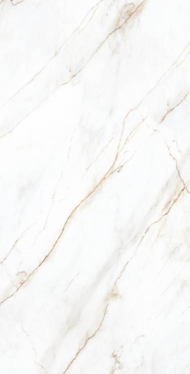 Керамогранит Arcadia Ceramica Selva CP4004-A Gold Cp 60x120
