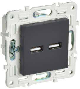 Розетка USB type A+A IEK Skandy SK-U21-D31-K53 графит