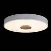 Потолочный светодиодный светильник Loft IT Axel 10003/24 white фото 3