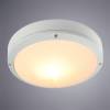 Уличный потолочный светильник Arte Lamp City A8154PF-2WH