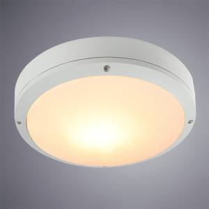 Уличный потолочный светильник Arte Lamp City A8154PF-2WH