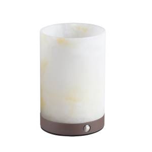Настольная лампа светодиодная аккумуляторная Odeon Light Candela 7190/2TL