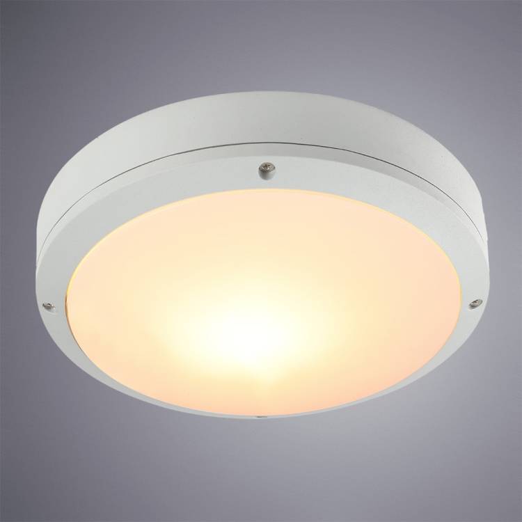 Уличный потолочный светильник Arte Lamp City A8154PF-2WH