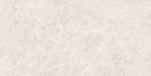 Керамогранит Pamesa Taj Mahal 004.869.0108.14164 White Polished Rect 60x120